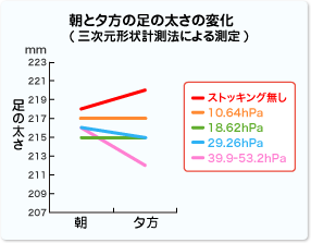 朝と夕方の足の太さの変化図