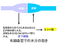 ＜図２＞